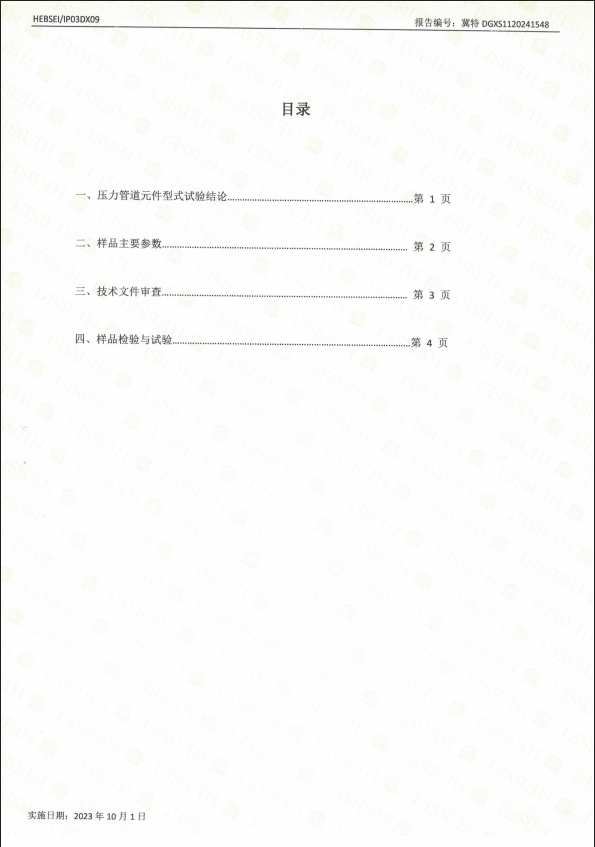 特种设备型式试验报告16