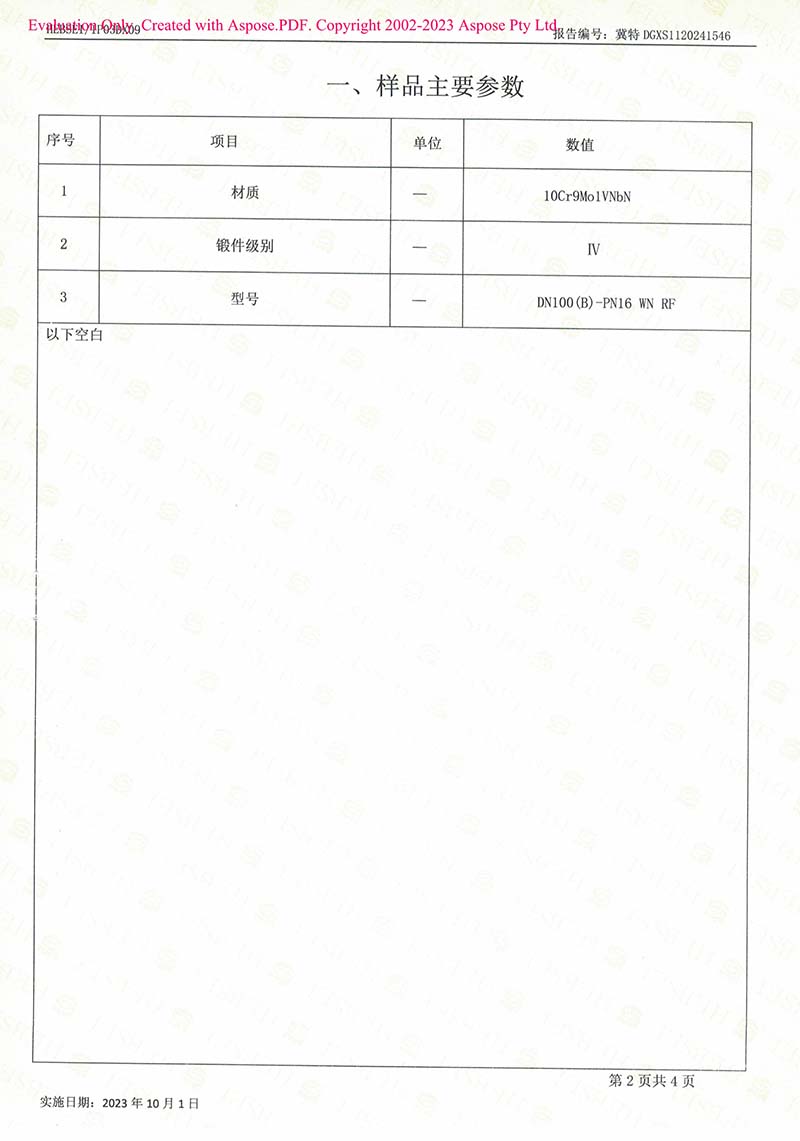 特种设备型式试验报告4