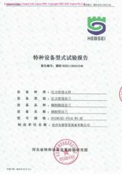 特种设备型式试验报告1