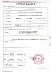 特种设备型式试验报告3
