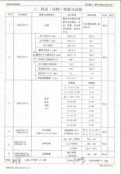 特种设备型式试验报告13